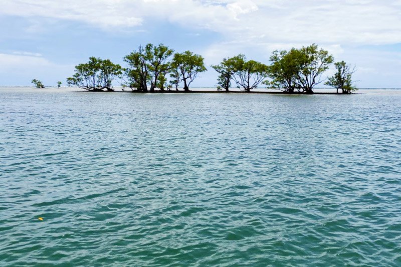Expedição dos Sonhos